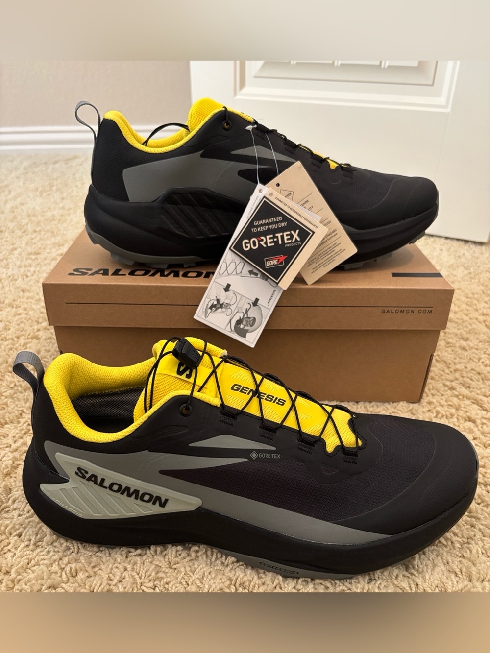 Salomon Genesis GTX